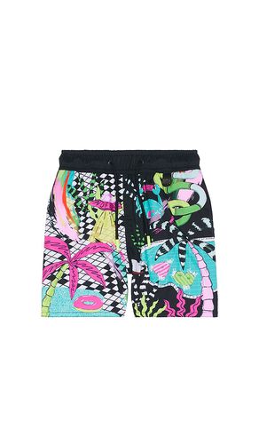 SHORT NICK PLASH in . Size 4 - Agua Bendita - Modalova