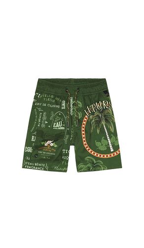 MAILLOT DE BAIN ALAN T in . Size 4 - Agua Bendita - Modalova