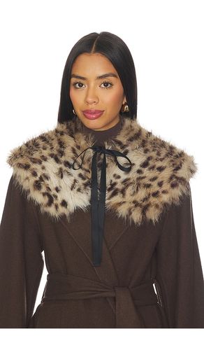 AKNVAS COL COLLAR en Brown - AKNVAS - Modalova