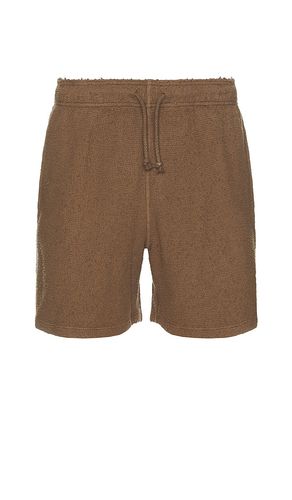 Salomon Short in . Size S - Asher - Modalova