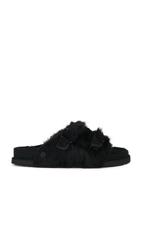 SANDALES Z?RICH en . Taille 42. Also en 43, 44 - Birkenstock 1774 - Modalova