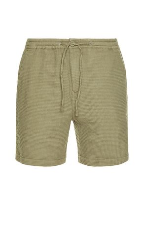 Sandwood Waffle Short in . Size M - Barbour - Modalova