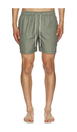 Shell Swim Short en . Taille S. Also en L, XL/1X - Barbour - Modalova