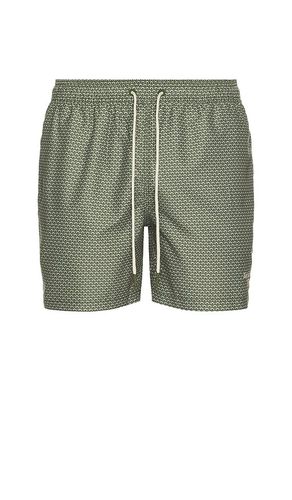 Shell Swim Short in . Size M, XL/1X - Barbour - Modalova