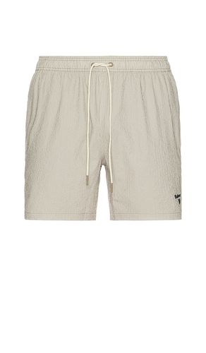 Somerset Swim Short in . Size M, XL/1X - Barbour - Modalova