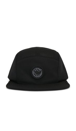 Bad Birdie CHAPEAU en Black - Bad Birdie - Modalova