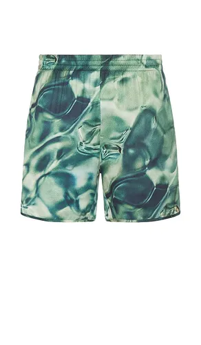 SHORT WATER in . Size M, S, XL/1X - Blue Sky Inn - Modalova