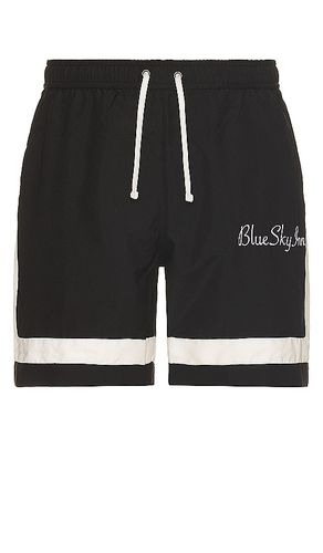 Waiter Swim Trunks in . Size S, XL/1X - Blue Sky Inn - Modalova