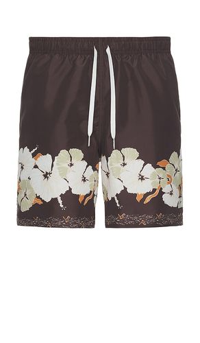 MAILLOT DE BAIN in . Size S, XL/1X - Bather - Modalova