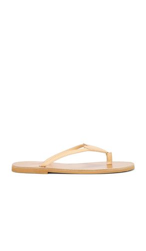 PLATES LALLA in . Size 38, 39, 40, 41 - By Malene Birger - Modalova