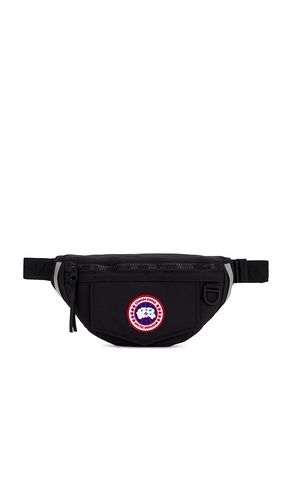 Canada Goose LOT in Black - Canada Goose - Modalova