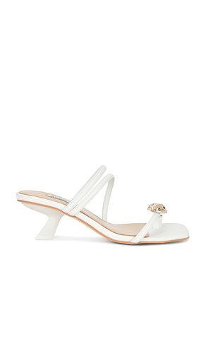ESCARPINS GATESIDE in . Size 37, 38 - Acler - Modalova