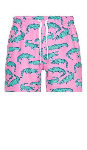 MAILLOT DE BAIN in . Size M, S, XXL/2X - Chubbies - Modalova