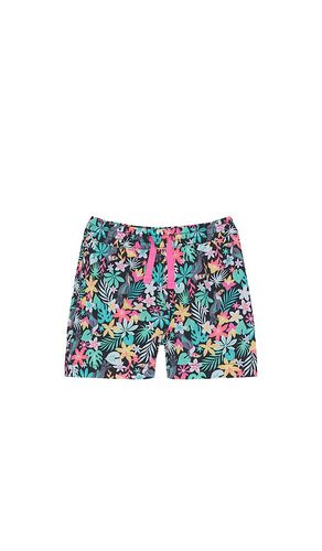 SHORT DE BAIN in . Size 4, 5 - Chubbies - Modalova