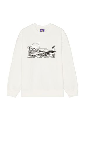 SWEAT WATER BASED in . Size XL/1X - Coney Island Picnic - Modalova