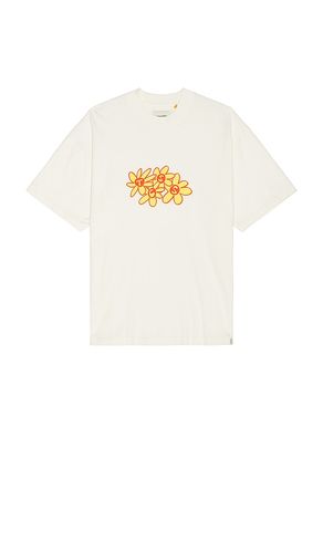 Crazed Tee in . Size M, L, XL/1X - Critical Slide - Modalova