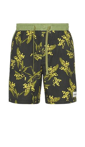 SHORT DE BAIN en ,. Taille 30. Also en 32, 34, 36 - Critical Slide - Modalova
