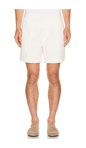 Lucio Short en . Taille 30. Also en 32, 34, 36 - Cult Gaia - Modalova
