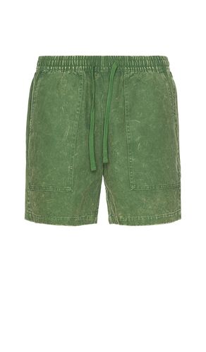 Leisure Walk Short en . Taille L. Also en M, XL/1X - Duvin Design - Modalova