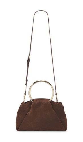 Dolce Vita SAC CHANNING en Brown - Dolce Vita - Modalova