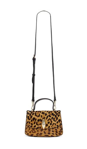 Dolce Vita SAC LUCIA en Tan - Dolce Vita - Modalova