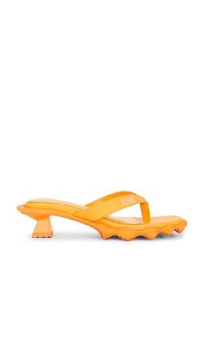 STRING RANGE in . Size 37, 38, 40 - Dirt - Modalova