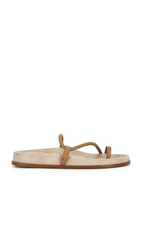 NU-PIED BARI en . Taille 37. Also en 38, 39 - Emme Parsons - Modalova