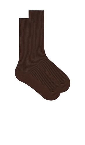 CHAUSSETTES CÔTELÉES CLASSIQUES en - Eterne - Modalova