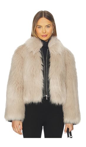 BLOUSON IMPRIMÉ YATES en . Taille L. Also en M, S, XL, XS - ET OCHS - Modalova