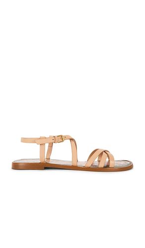 SANDALES SPRING FLAT en . Taille 6. Also en 6.5, 7, 7.5, 8, 8.5, 9, 9.5, 10 - FARM Rio - Modalova