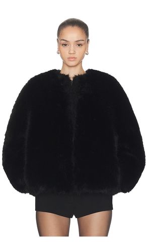 Long Hair Faux Fur Bomber en . Taille XS. Also en XXS, S, M, L - HAELO - Modalova