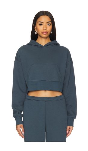 SWEAT À CAPUCHE CROPPED in . Size M, S, XL, XS - IVL Collective - Modalova