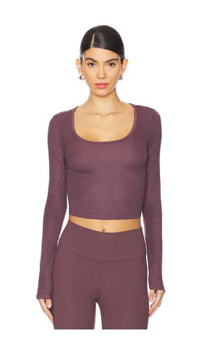 Long Sleeve Cropped Scoop Neck Top in . Size M, S, XL, XS - IVL Collective - Modalova