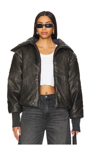 BOMBER DOUDOUNE in . Size M, S - Jaded London - Modalova