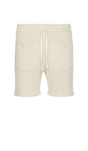 SHORT EN MAILLE STRIPED in . Size XL/1X - KROST - Modalova