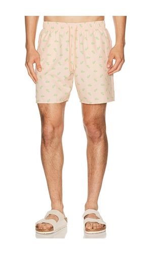 SHORT DE BAIN en . Taille L. Also en XL/1X - Lacoste - Modalova