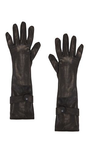 Medium Length Leather Gloves in . Size 7, 7.5, 8 - MANOKHI - Modalova