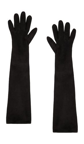 Long Velvet Gloves in . Size 7.5, 8 - MANOKHI - Modalova