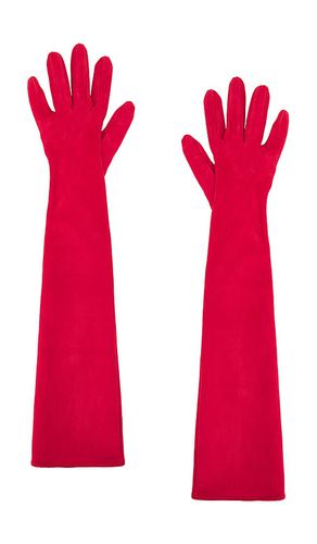 Long Suede Gloves in . Size 7, 7.5, 8 - MANOKHI - Modalova