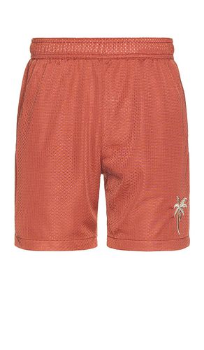 Side Stripe Mesh Short in . Size S, XL/1X - Marine Layer - Modalova