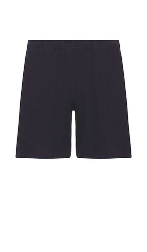 SHORT in . Size XL/1X - Mister Green - Modalova