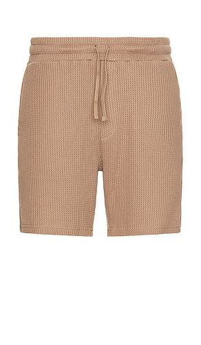 Waffle Shorts in . Size M, XL/1X - Nikben - Modalova