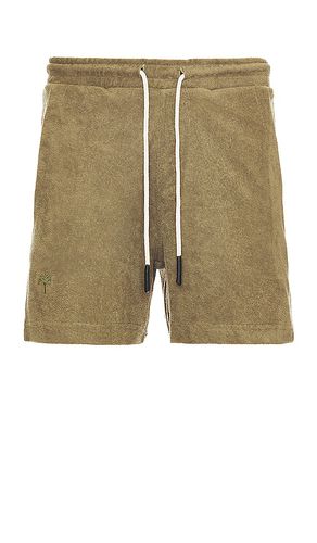 Terry Shorts in . Size M, XL/1X - OAS - Modalova