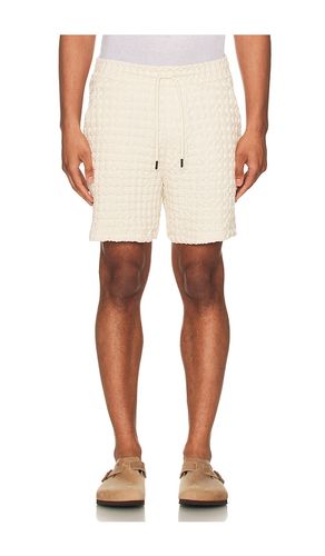 Ecru Porto Waffle Shorts en . Taille S. Also en XL/1X - OAS - Modalova