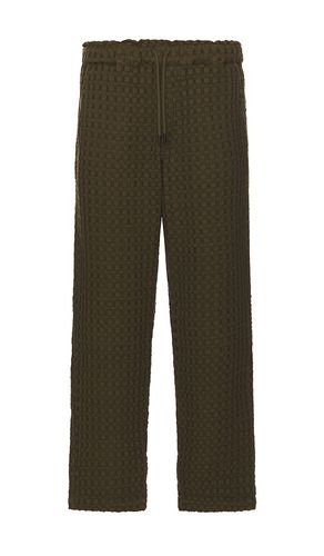 PANTALON TURTLE AYORA in . Size M, S, XL/1X - OAS - Modalova