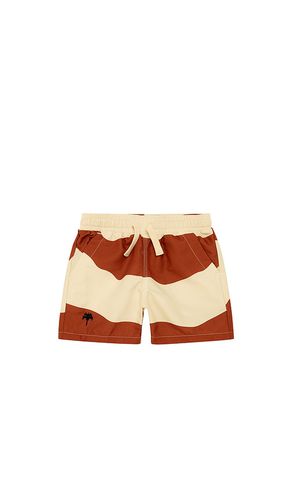 OAS SHORT DE BAIN in Brick. Size 6 - OAS - Modalova