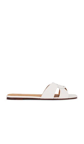SANDALES SHINY DRUM PEBBLE in . Size 7.5, 8, 9 - Polo Ralph Lauren - Modalova