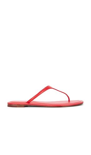 SANDALES PLATES EN NAPPA en . Taille 6. Also en 7, 8, 8.5, 9 - Polo Ralph Lauren - Modalova
