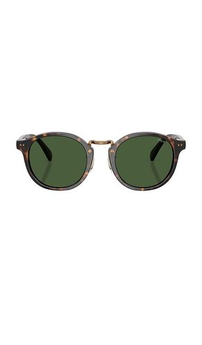 LUNETTES DE SOLEIL en - Polo Ralph Lauren - Modalova