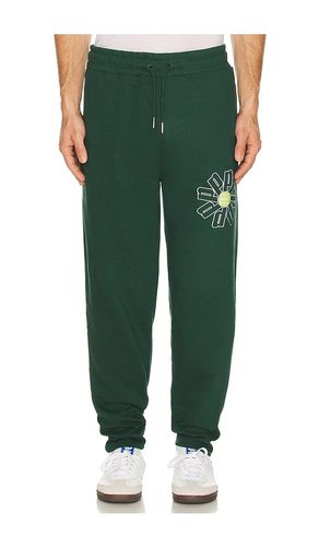 PANTALON MOLLETON TENNIS BALL en . Taille S. Also en M, L, XL/1X - Prince Tennis - Modalova